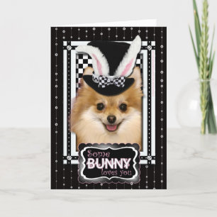 Easter - Some Bunny Loves You - Pomeranian Holiday Card
