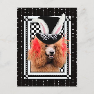 Easter - Some Bunny Loves You - Poodle - Red Holiday Postcard