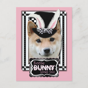 Easter - Some Bunny Loves You - Shiba Inu Holiday Postcard