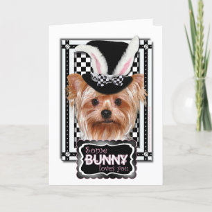 Easter - Some Bunny Loves You - Yorkie Holiday Card