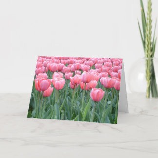 Easter Tulips Holiday Card