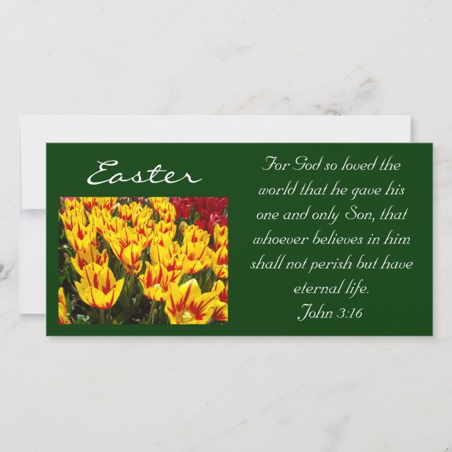 Easter Tulips Photocards Bible Scripture John 3:16 Holiday Card (Front)