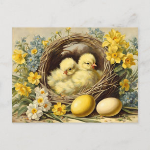 Easter Yellow Baby Chicks in a Basket and Flowers  Holiday Postcard