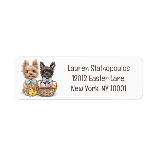 Easter Yorkshire Terrier Dogs (Front)