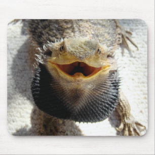 Eastern Bearded Dragon - Pogona barbata Mouse Mat