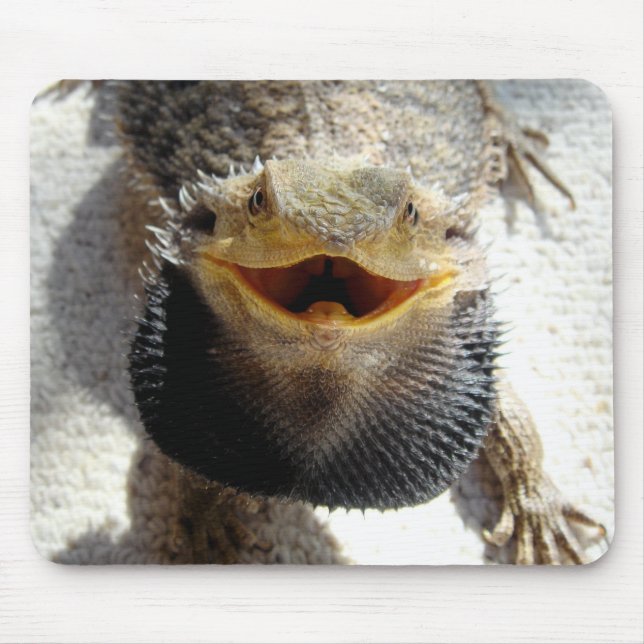 Eastern Bearded Dragon - Pogona barbata Mouse Mat (Front)