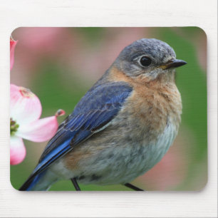 Eastern Blue Mouse Mat