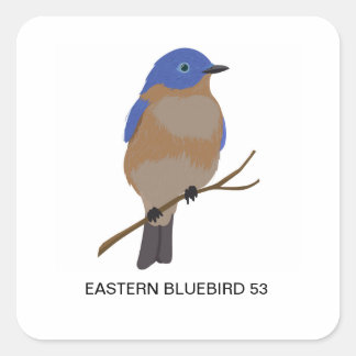 Eastern Bluebird 53 Sticker