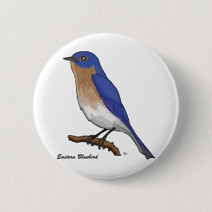 EASTERN BLUEBIRD 6 CM ROUND BADGE