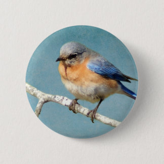 Eastern Bluebird 6 Cm Round Badge