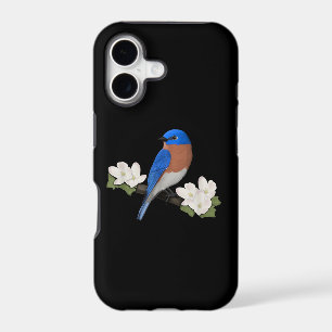 Eastern Bluebird Bird Birdlover Birdwatcher Animal