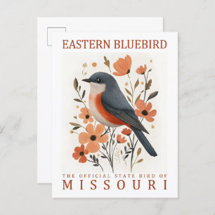 Eastern Bluebird Bird of Missouri USA Travel Postcard