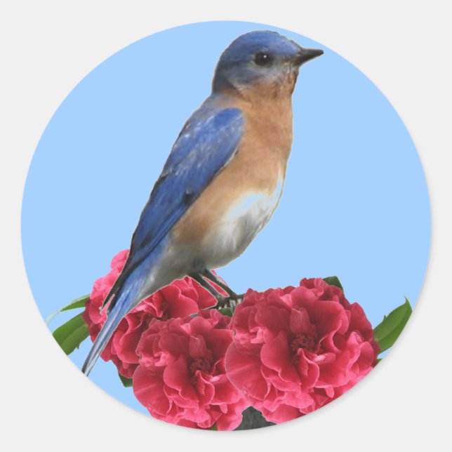 Eastern Bluebird Camellia Sticker (Front)
