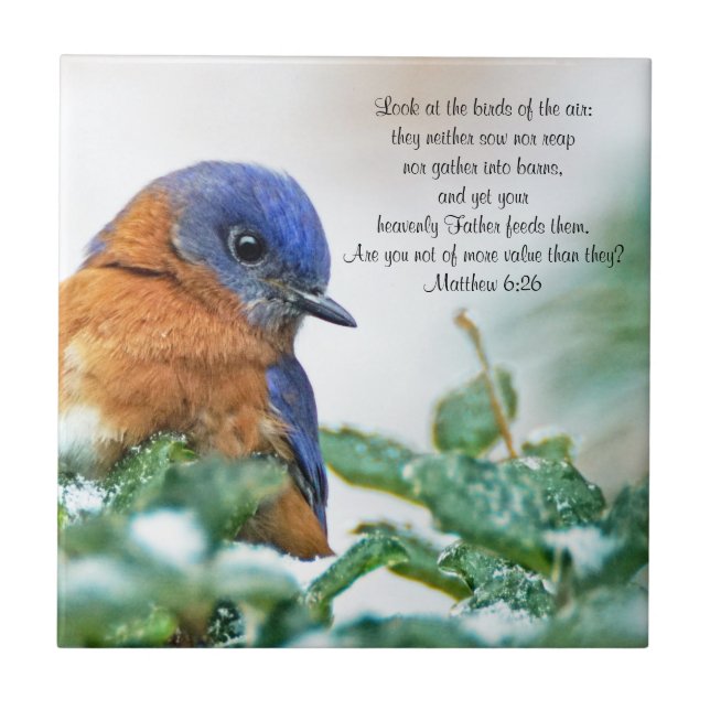 Eastern Bluebird Ceramic Photo Tile Matthew 6:26 (Front)