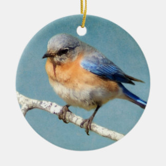 Eastern Bluebird Ceramic Tree Decoration