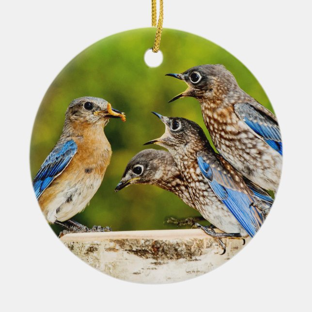 Eastern Bluebird Ceramic Tree Decoration (Front)