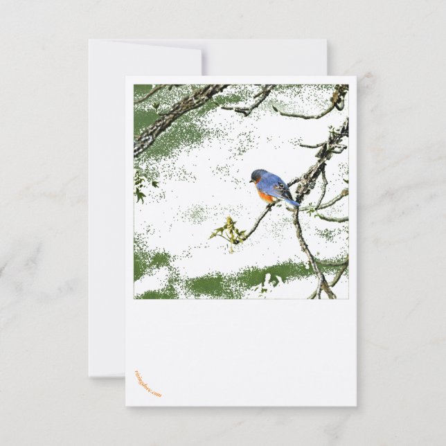Eastern Bluebird/Champagne Glasses Greeting Card ~ (Front)