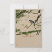 Eastern Bluebird/Champagne Glasses Save the Date ~