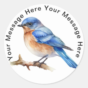 Eastern Bluebird Classic Round Sticker