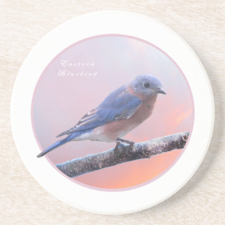 Eastern Bluebird Coaster