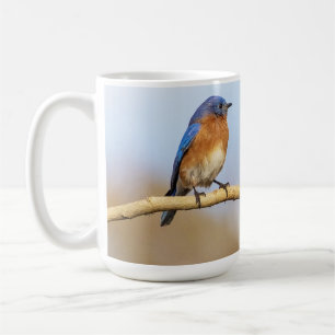 Eastern Bluebird Coffee Mug