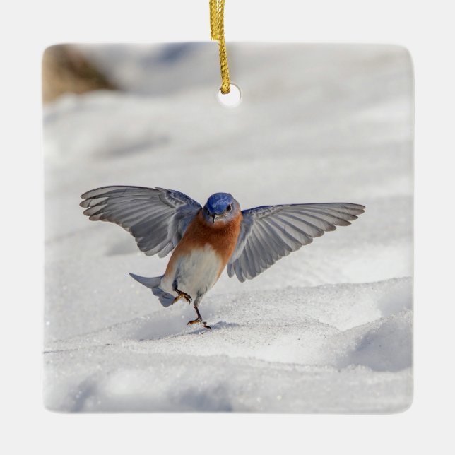 Eastern Bluebird dancing in the snow Ceramic Tree Decoration (Front)