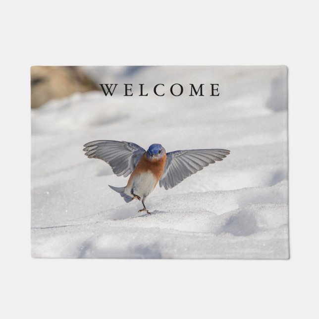 Eastern Bluebird dancing in the snow Doormat (Front)