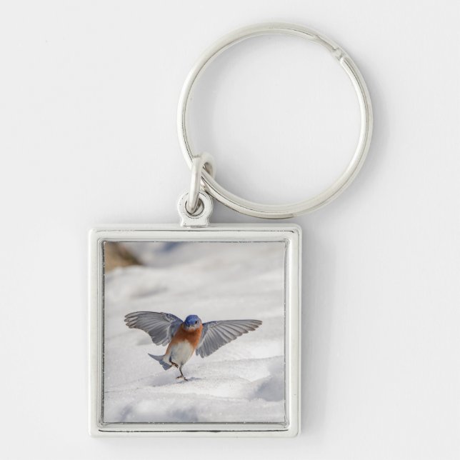 Eastern Bluebird dancing in the snow Key Ring (Front)