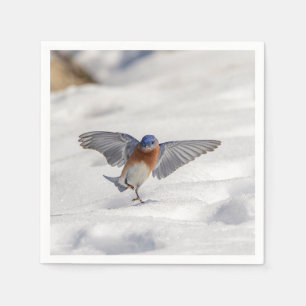 Eastern Bluebird dancing in the snow Napkin