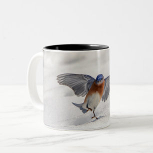 Eastern Bluebird dancing in the snow Two-Tone Coffee Mug