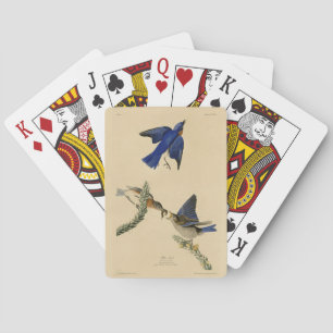 Eastern Bluebird from Audubon's Birds of America Playing Cards