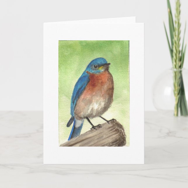 Eastern Bluebird Holiday Card (Front)