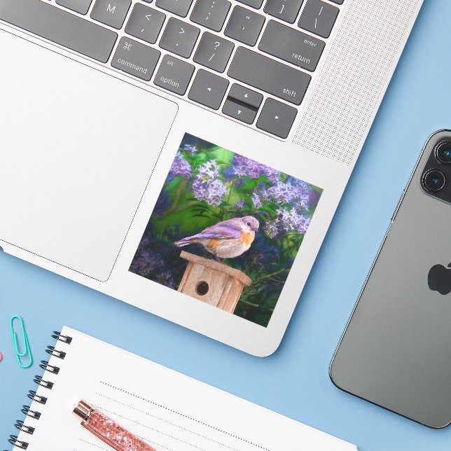 Eastern Bluebird in Snow - Original Photograph (Laptop w/ iPhone)