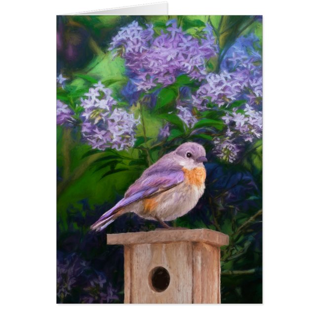 Eastern Bluebird in Snow - Original Photograph (Front)