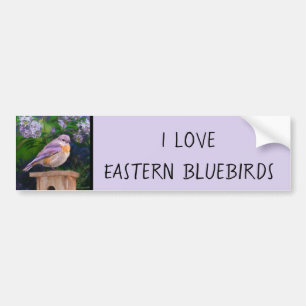Eastern Bluebird in Snow - Original Photograph Bumper Sticker