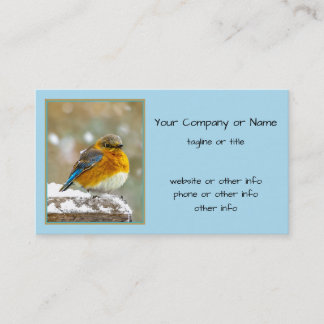 Eastern Bluebird in Snow - Original Photograph Business Card