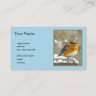 Eastern Bluebird in Snow - Original Photograph Business Card