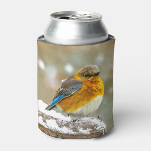 Eastern Bluebird in Snow - Original Photograph Can Cooler