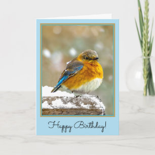 Eastern Bluebird in Snow - Original Photograph Card