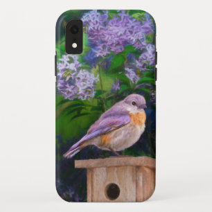 Eastern Bluebird in Snow - Original Photograph iPhone XR Case