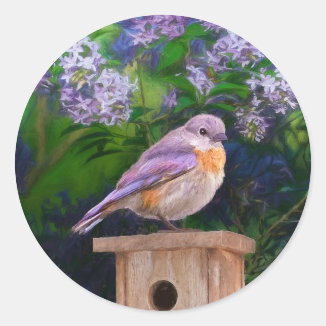 Eastern Bluebird in Snow - Original Photograph Classic Round Sticker (Front)