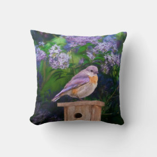 Eastern Bluebird in Snow - Original Photograph Cushion
