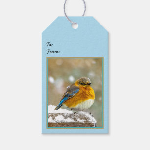 Eastern Bluebird in Snow - Original Photograph Gift Tags