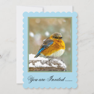 Eastern Bluebird in Snow - Original Photograph Invitation