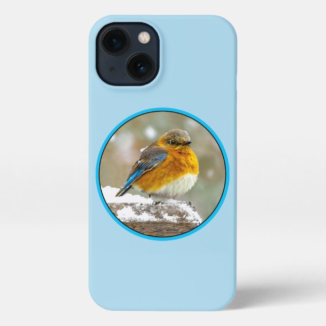 Eastern Bluebird in Snow - Original Photograph iPhone Case (Back)