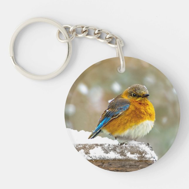 Eastern Bluebird in Snow - Original Photograph Key Ring (Front)