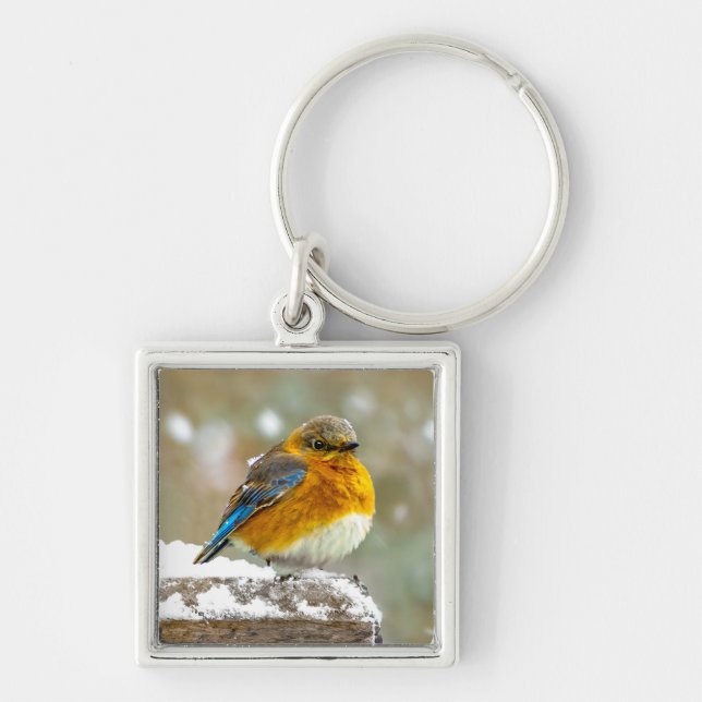 Eastern Bluebird in Snow - Original Photograph Key Ring (Front)