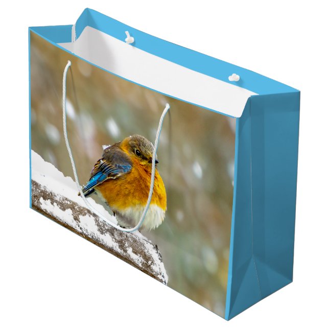 Eastern Bluebird in Snow - Original Photograph Large Gift Bag (Front Angled)