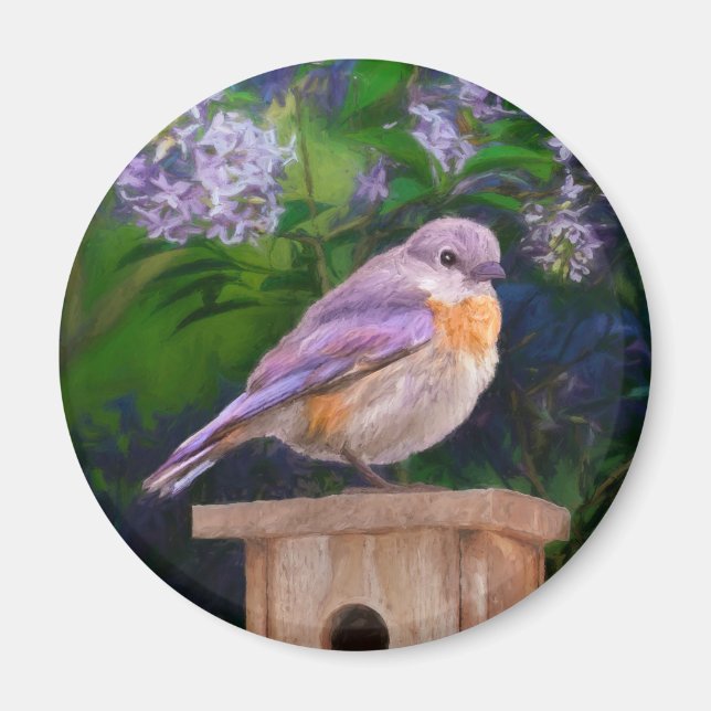 Eastern Bluebird in Snow - Original Photograph Magnet (Front)