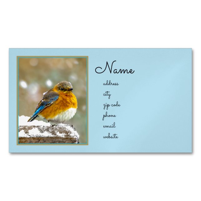 Eastern Bluebird in Snow - Original Photograph Magnetic Business Card (Front)